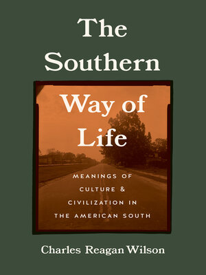 cover image of The Southern Way of Life